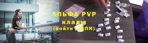 спиды Алзамай