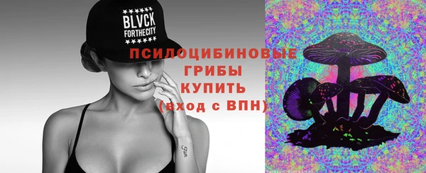 сатива Алексеевка